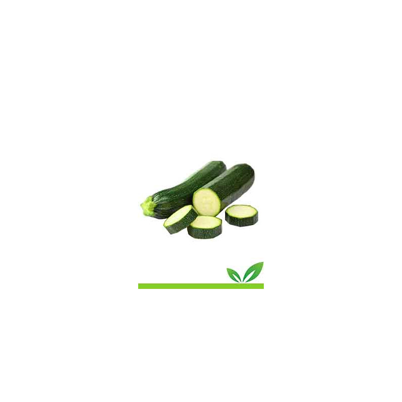 Zucchine Silane