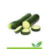 Zucchine Silane