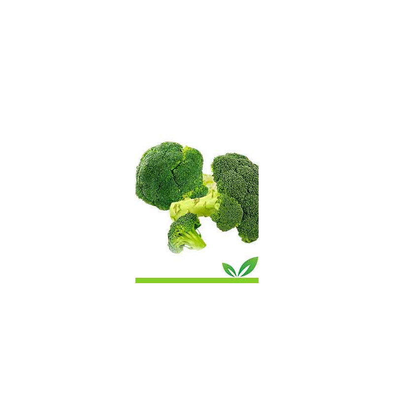 Broccoli Silani