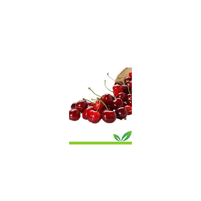 Ciliege Silane